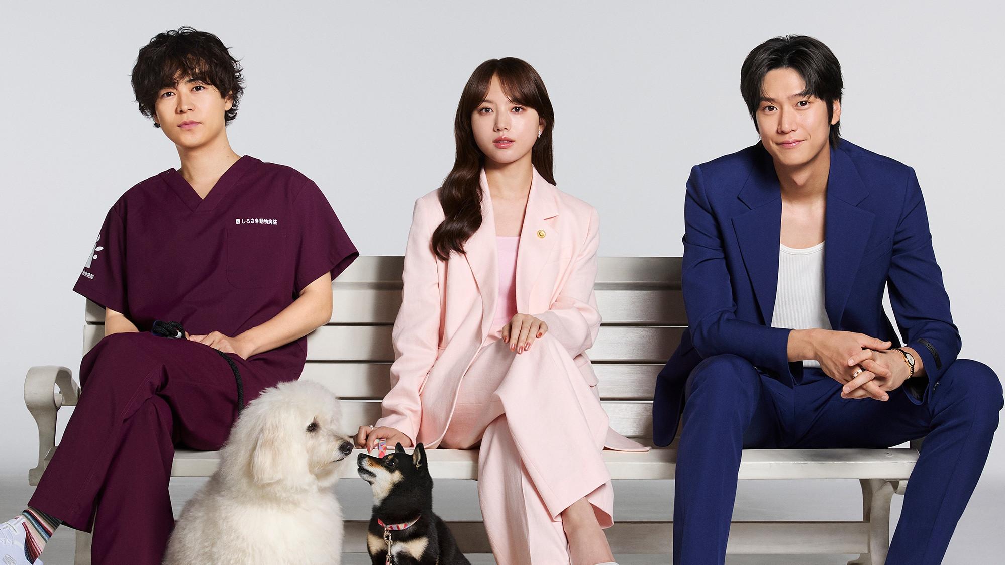 Amor é para os cães