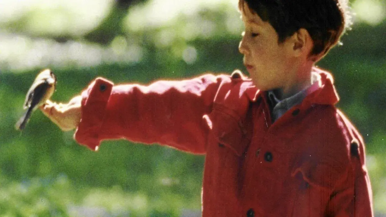 Wszystko może się przytrafić