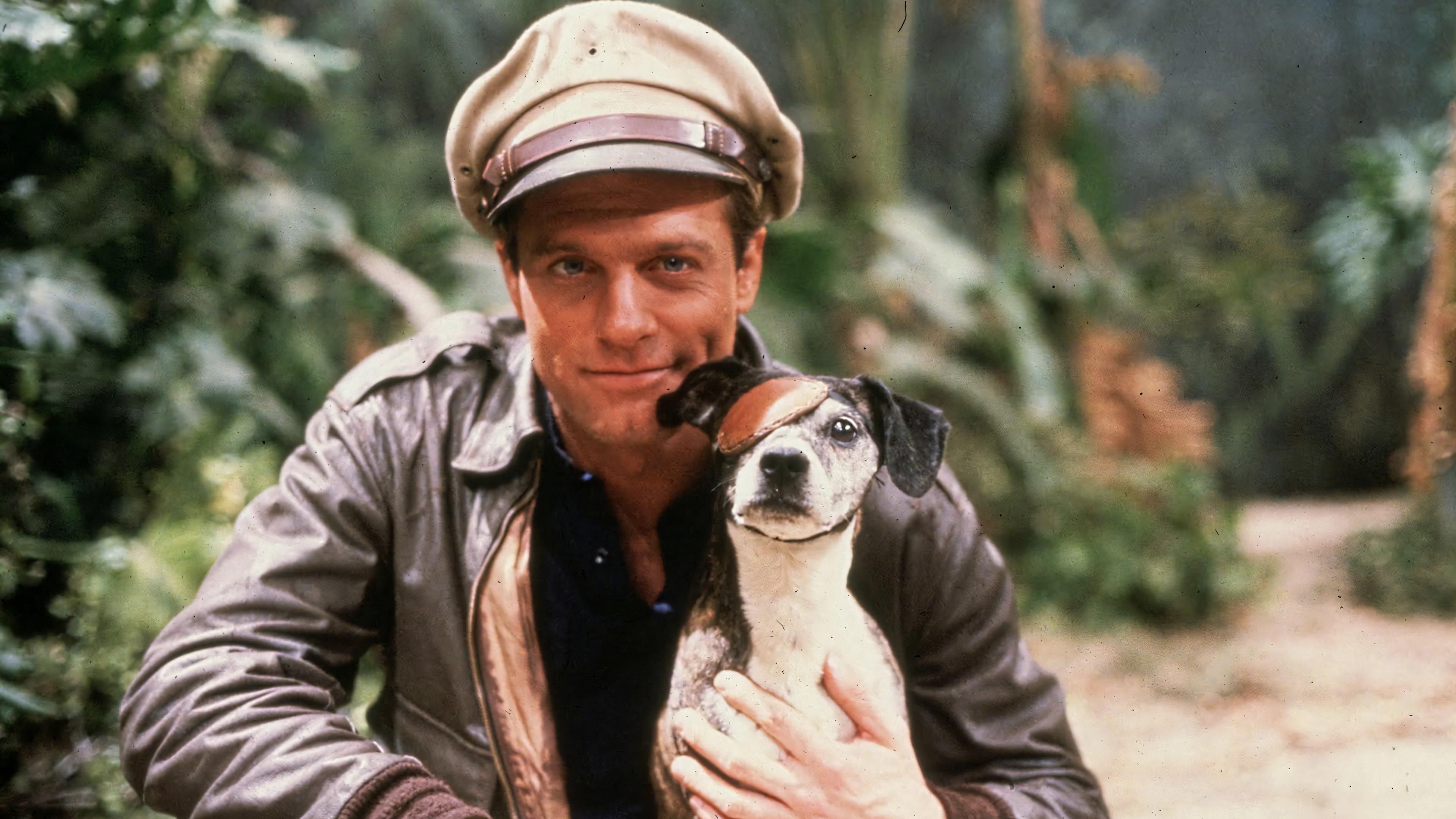 A Lenda do Macaco Dourado