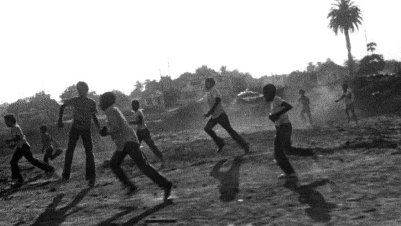 O Matador de Ovelhas