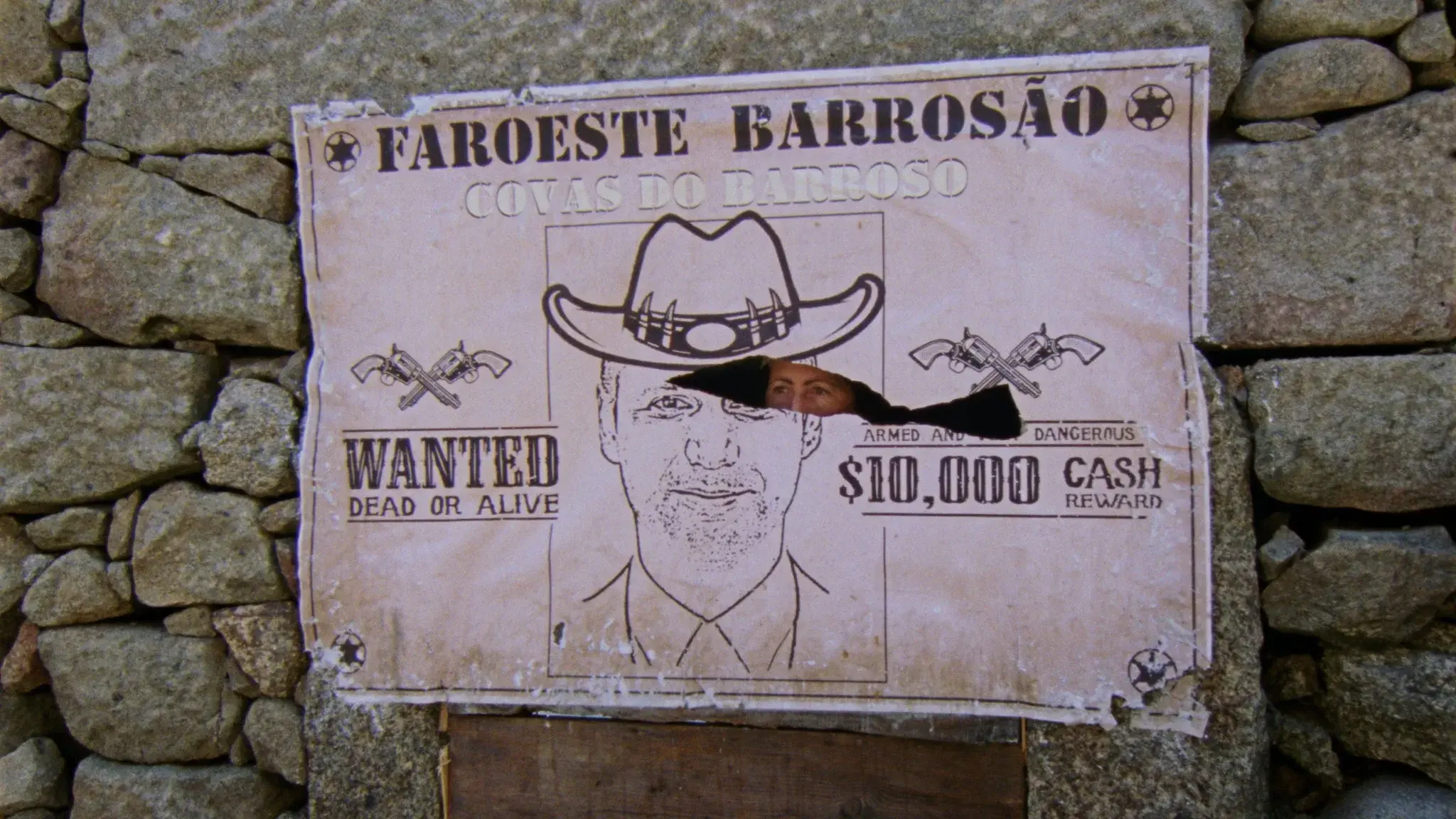 A Savana e a Montanha