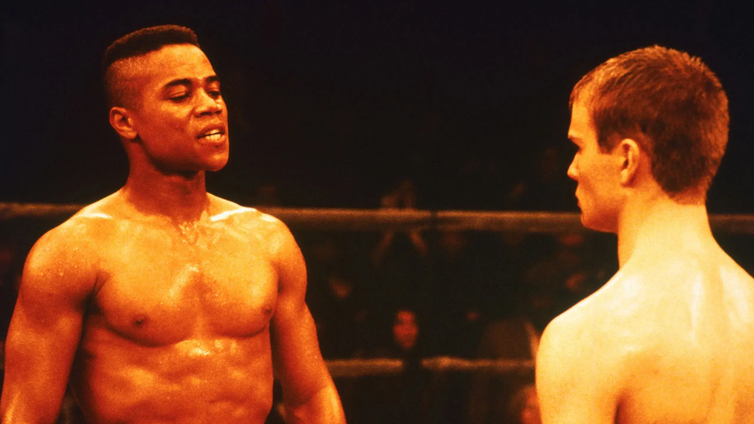 Gladiator: O Desafio