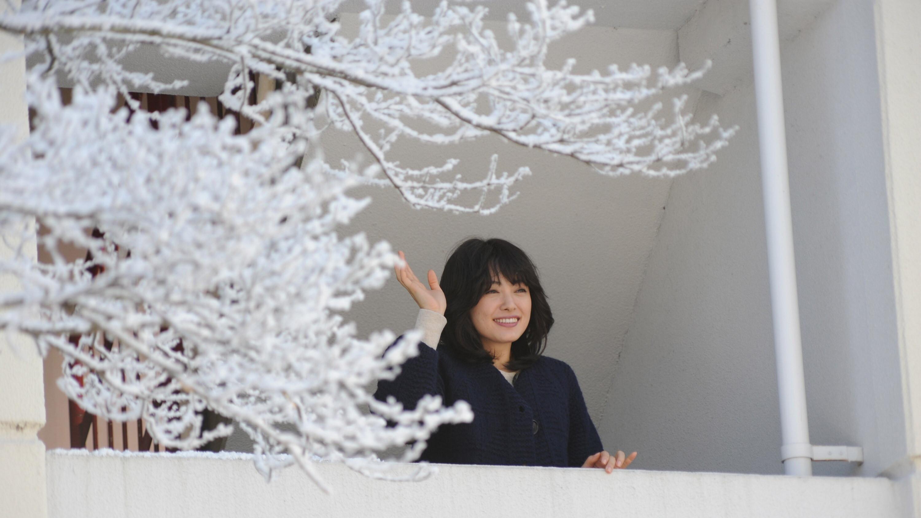 FLOWERS フラワーズ