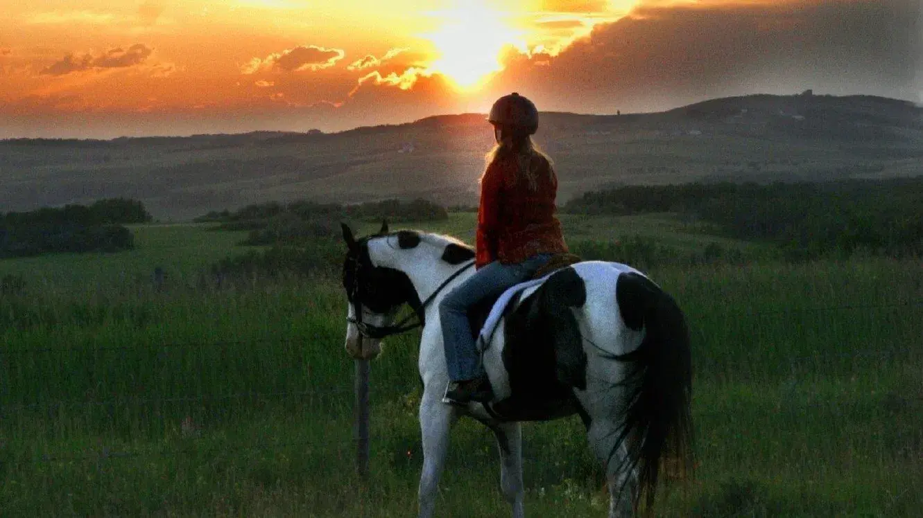 Moondance Alexander: Superando Limites