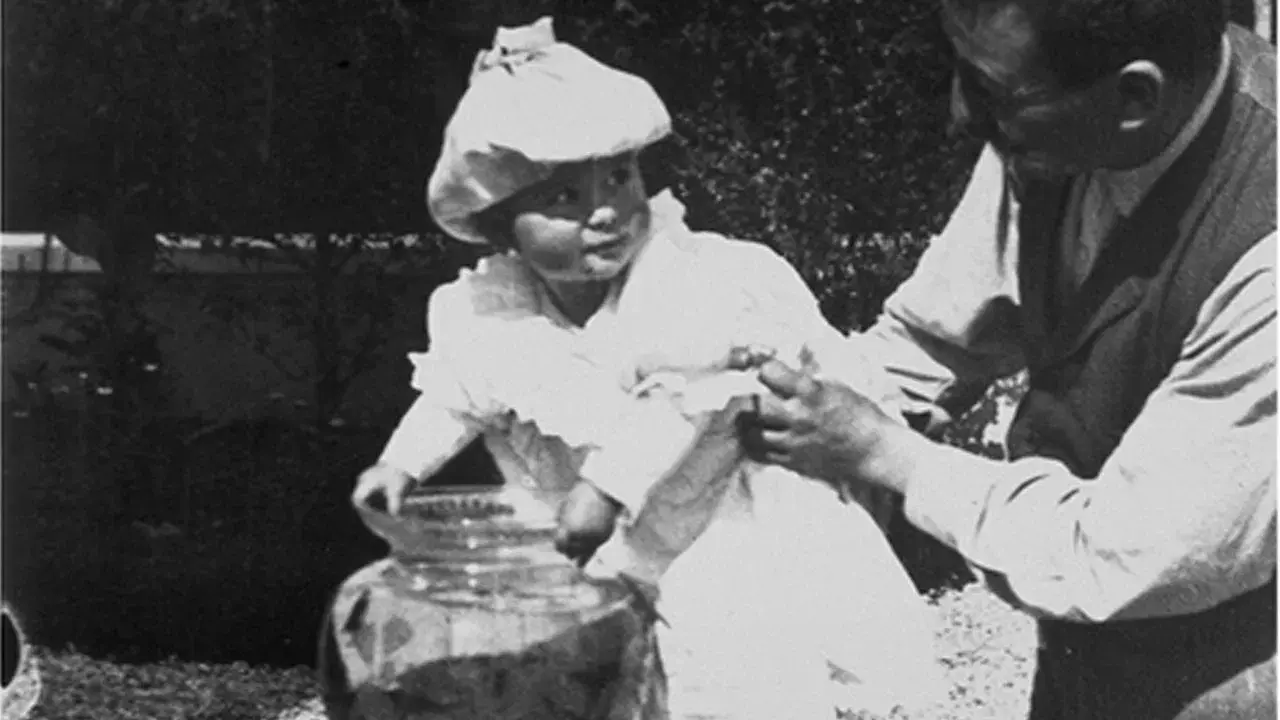 A Pesca do Peixe Dourado