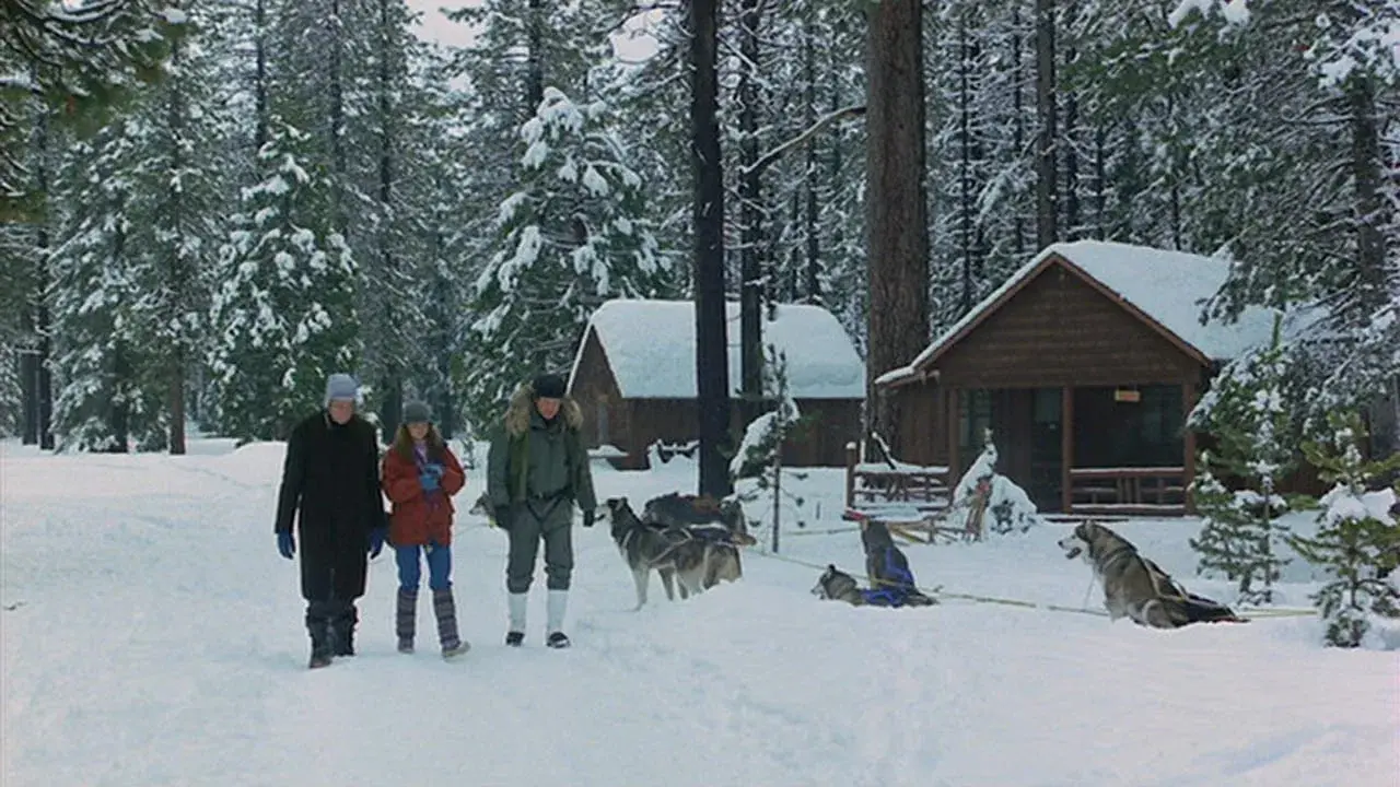 O Negócio é Sobreviver