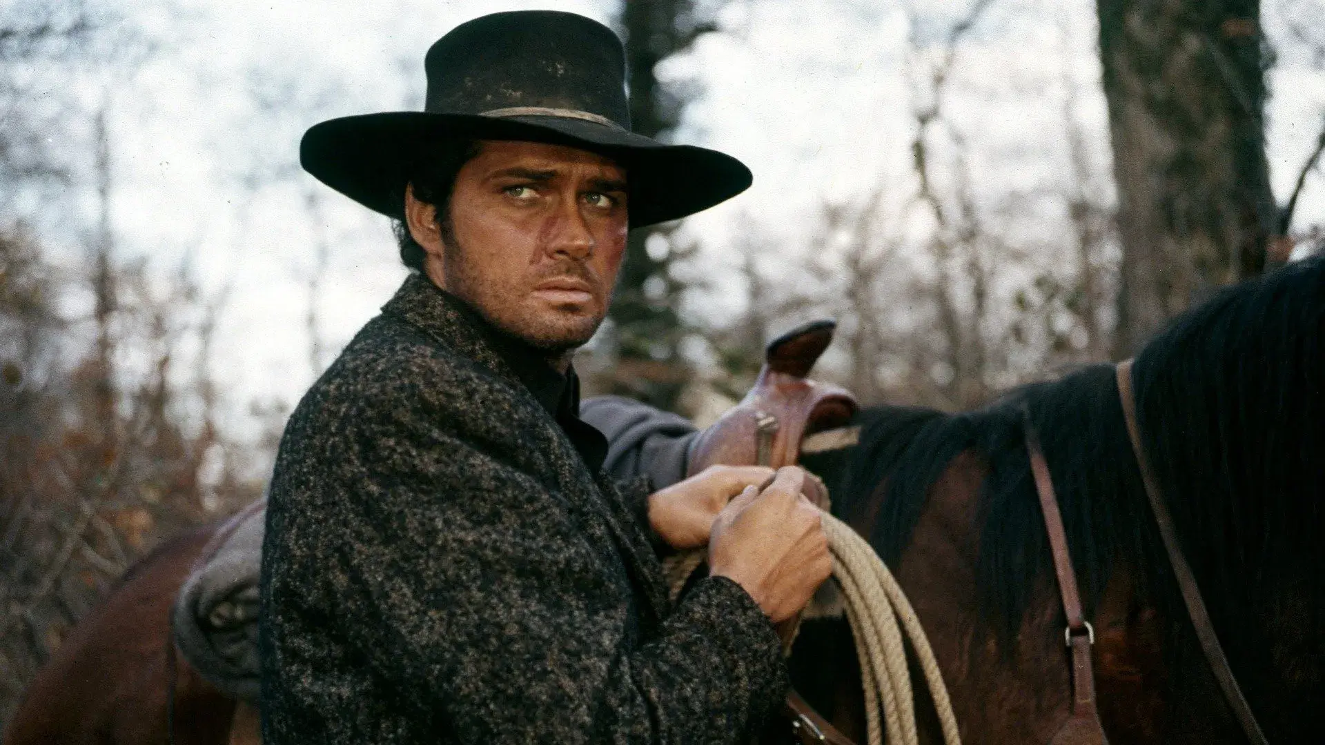 Mato Hoje, Morro Amanhã