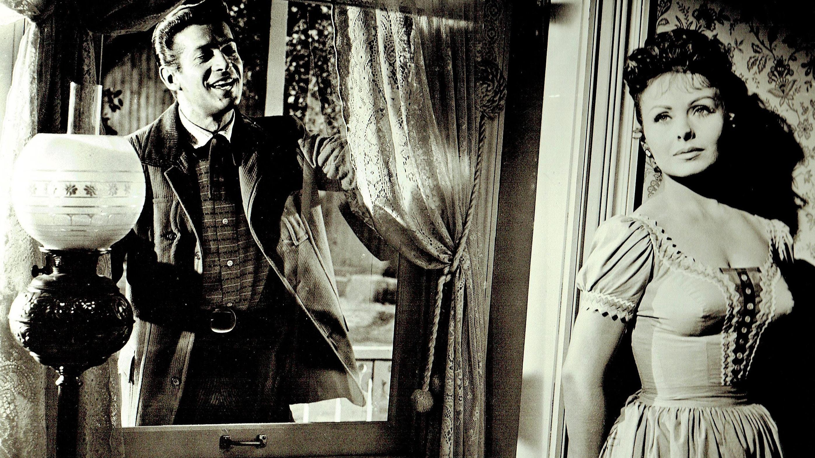 Sua Excelência O Sexo