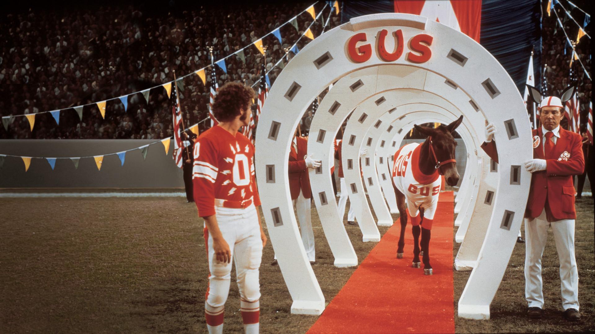 Gus: Uma Mula Fora de Série