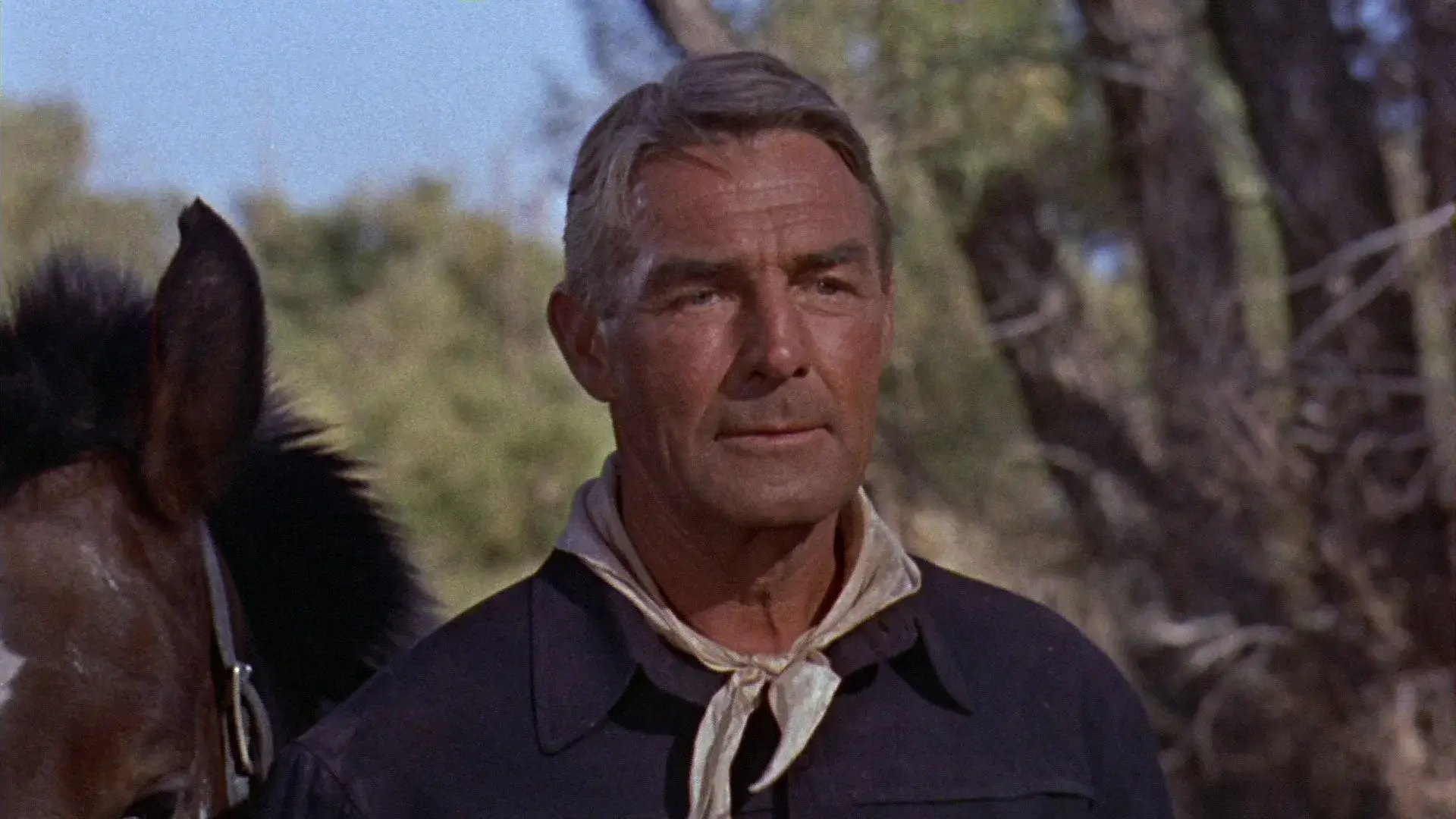 7 Homens Sem Destino