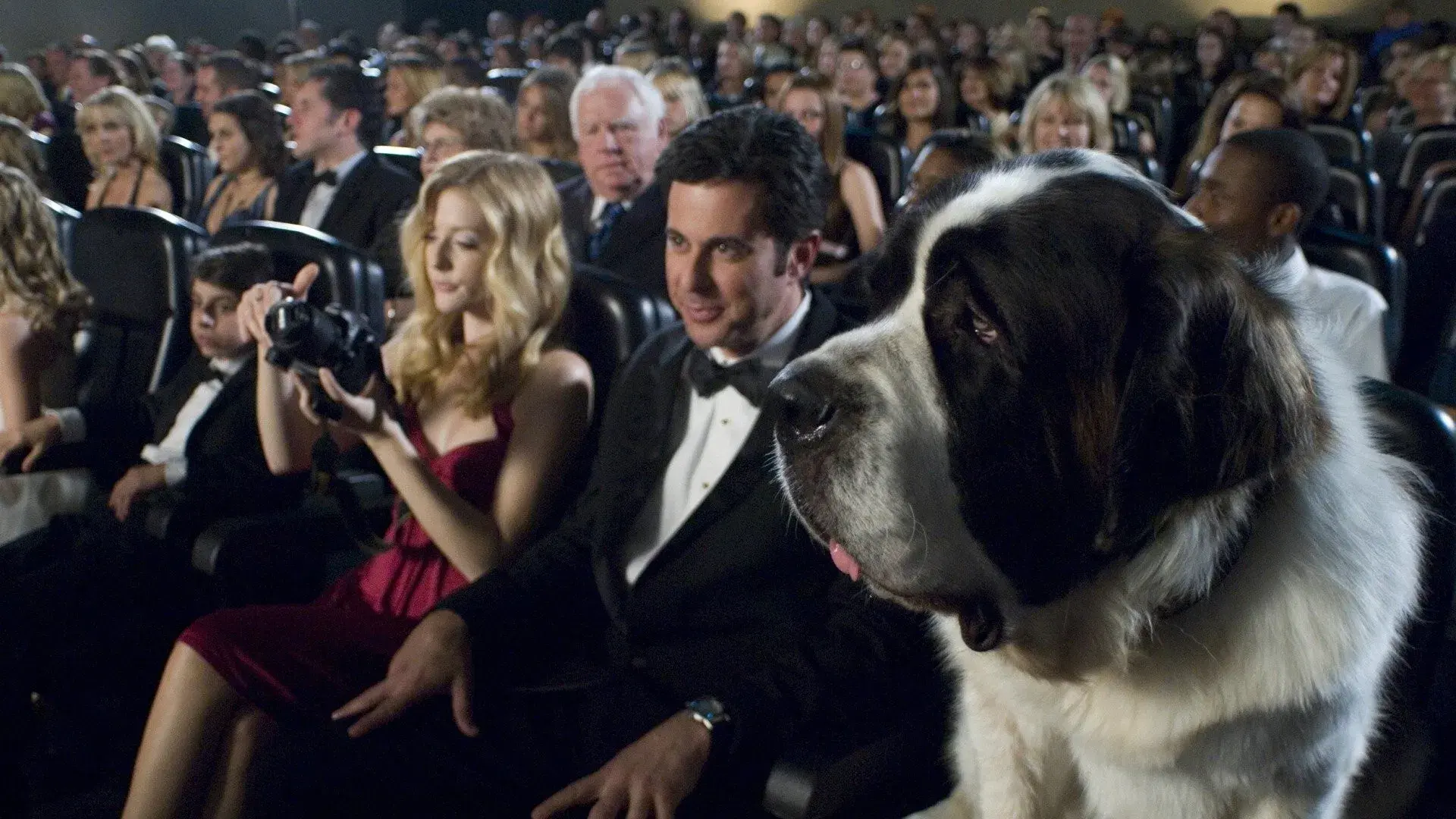 Beethoven: A Corrida Para a Fama