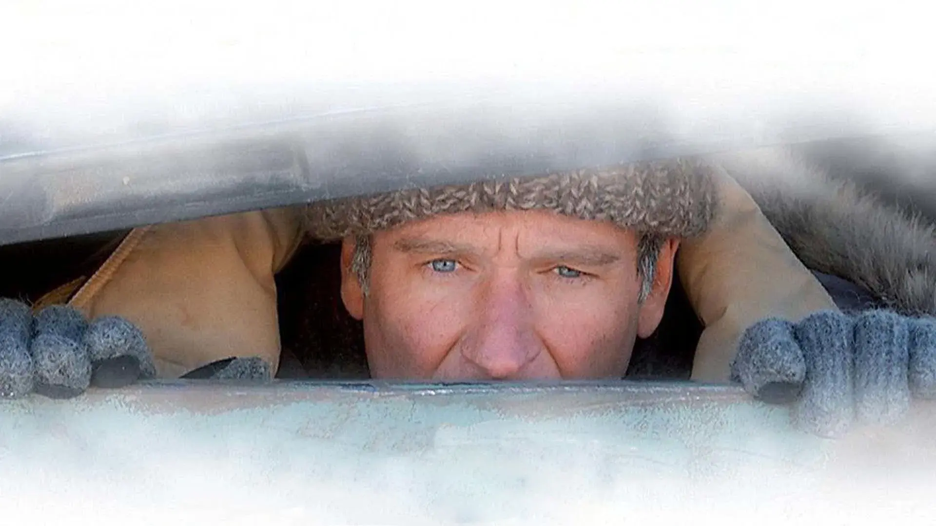 Quem é Morto Sempre Aparece