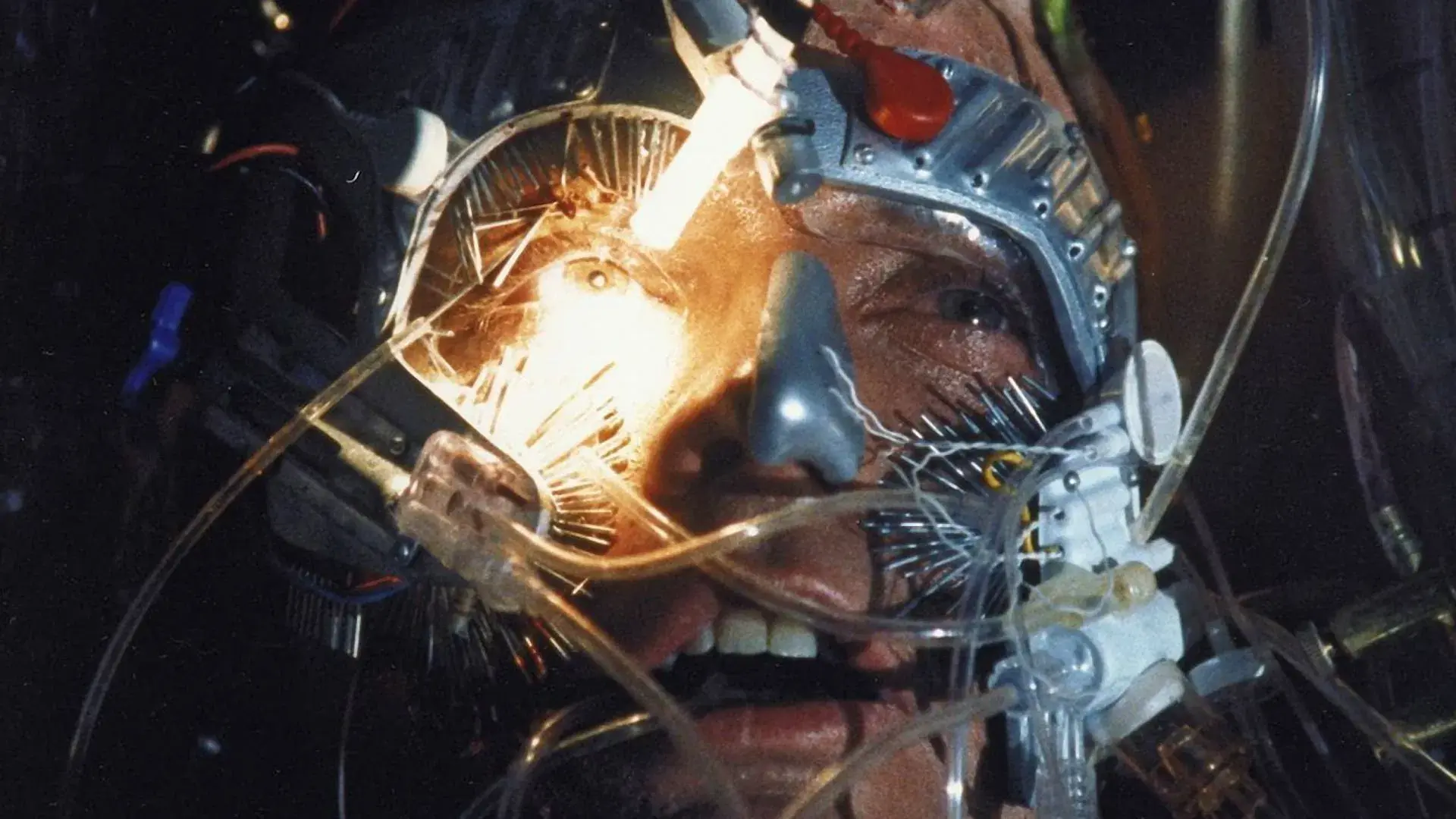 Programado para Esquecer