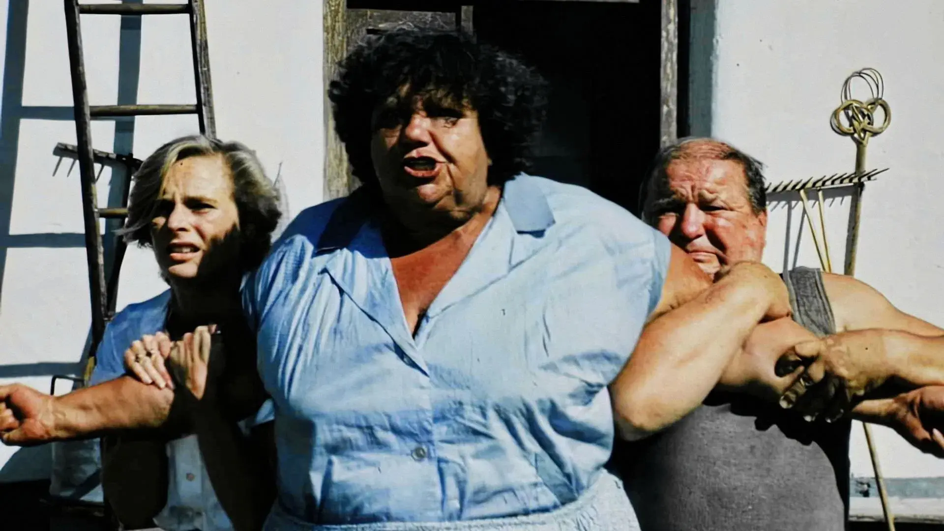 Slunce, seno a pár facek