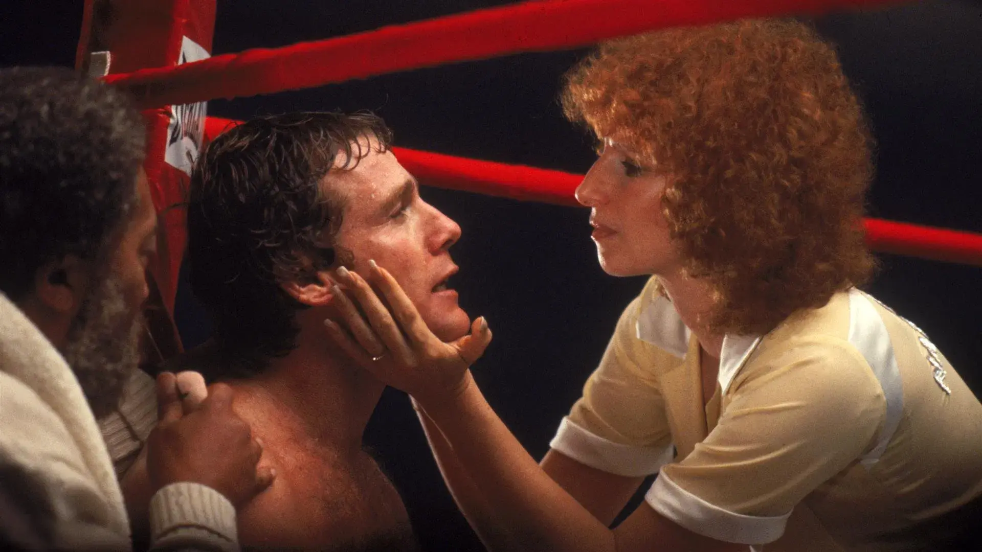 Meu Lutador Favorito