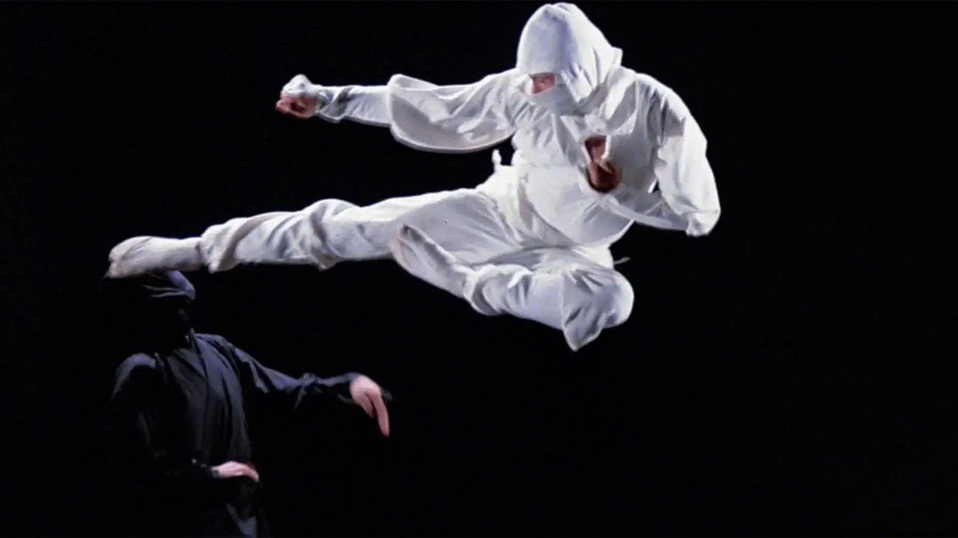 Ninja, a Máquina Assassina