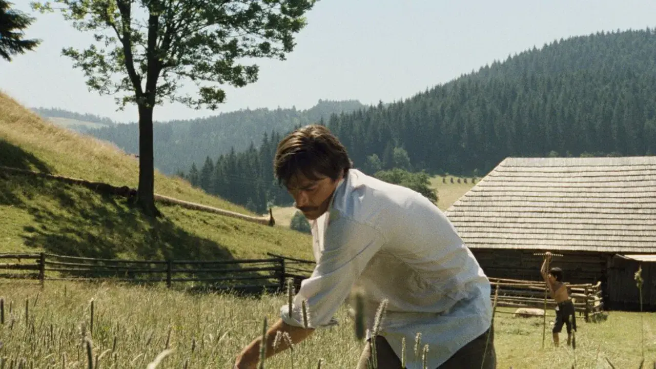 Stíny horkého léta