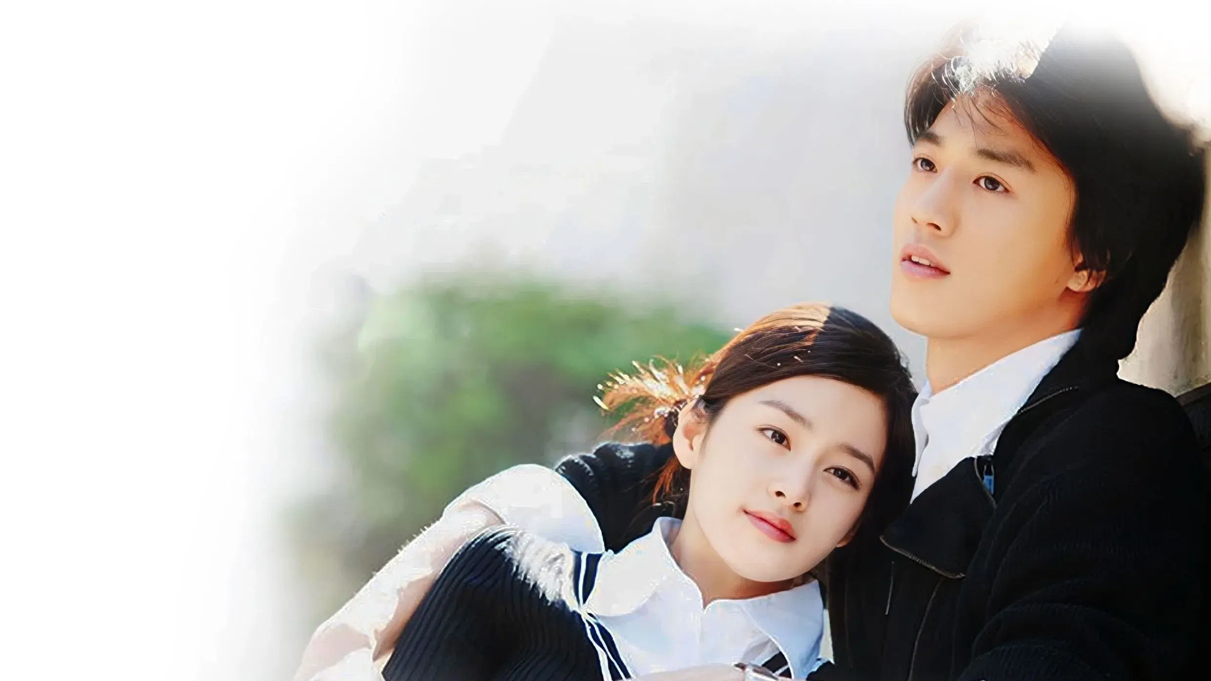 러브스토리 인 하버드