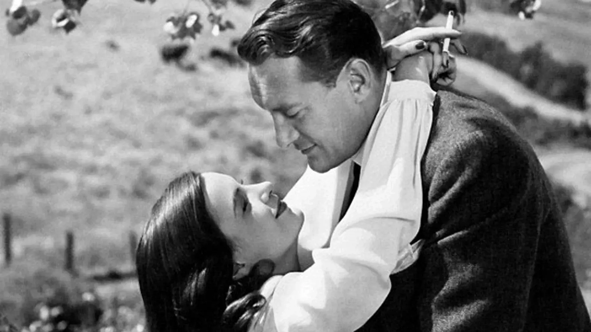 Caprichos do Destino