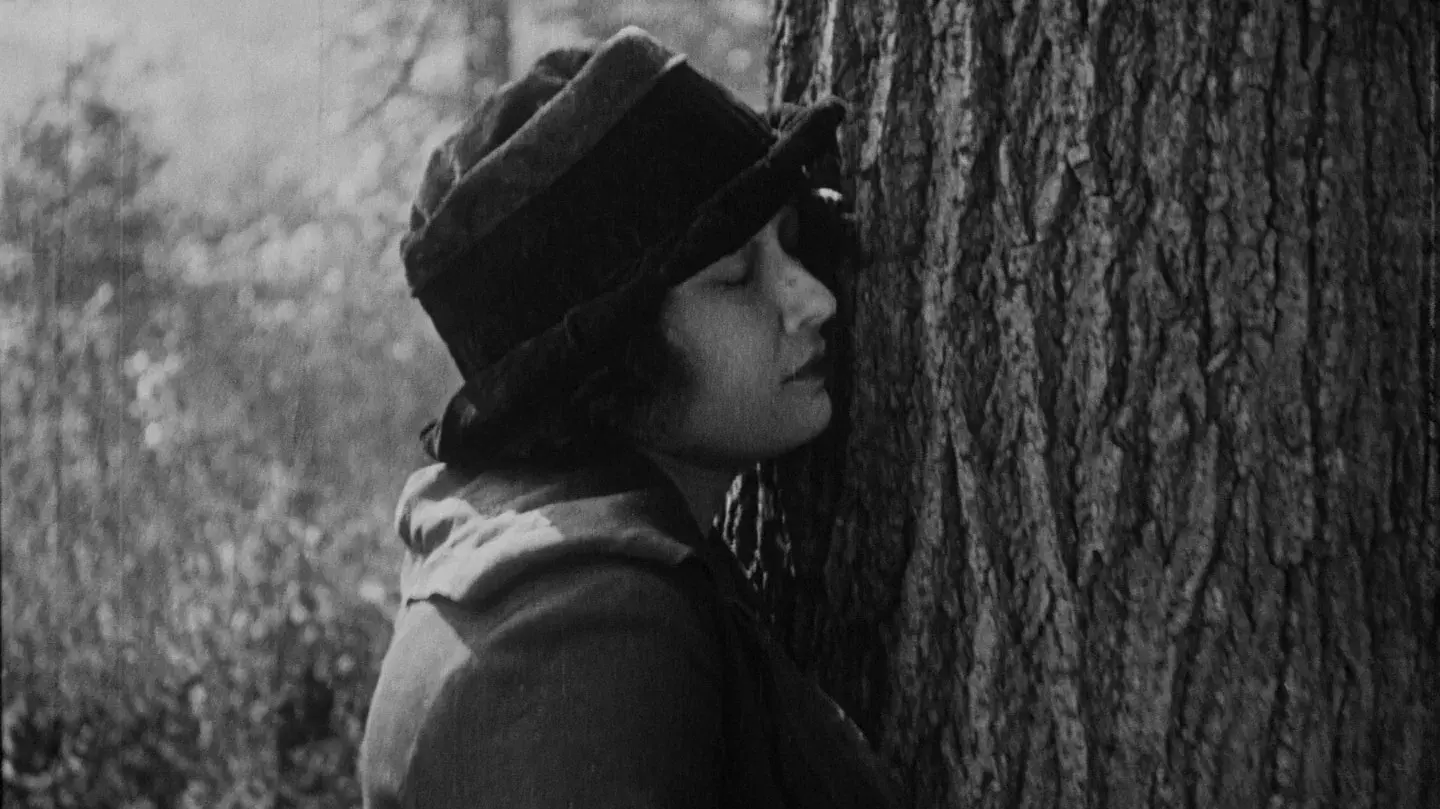 O Símbolo dos Resistentes: Uma História da Ku Klux Klan