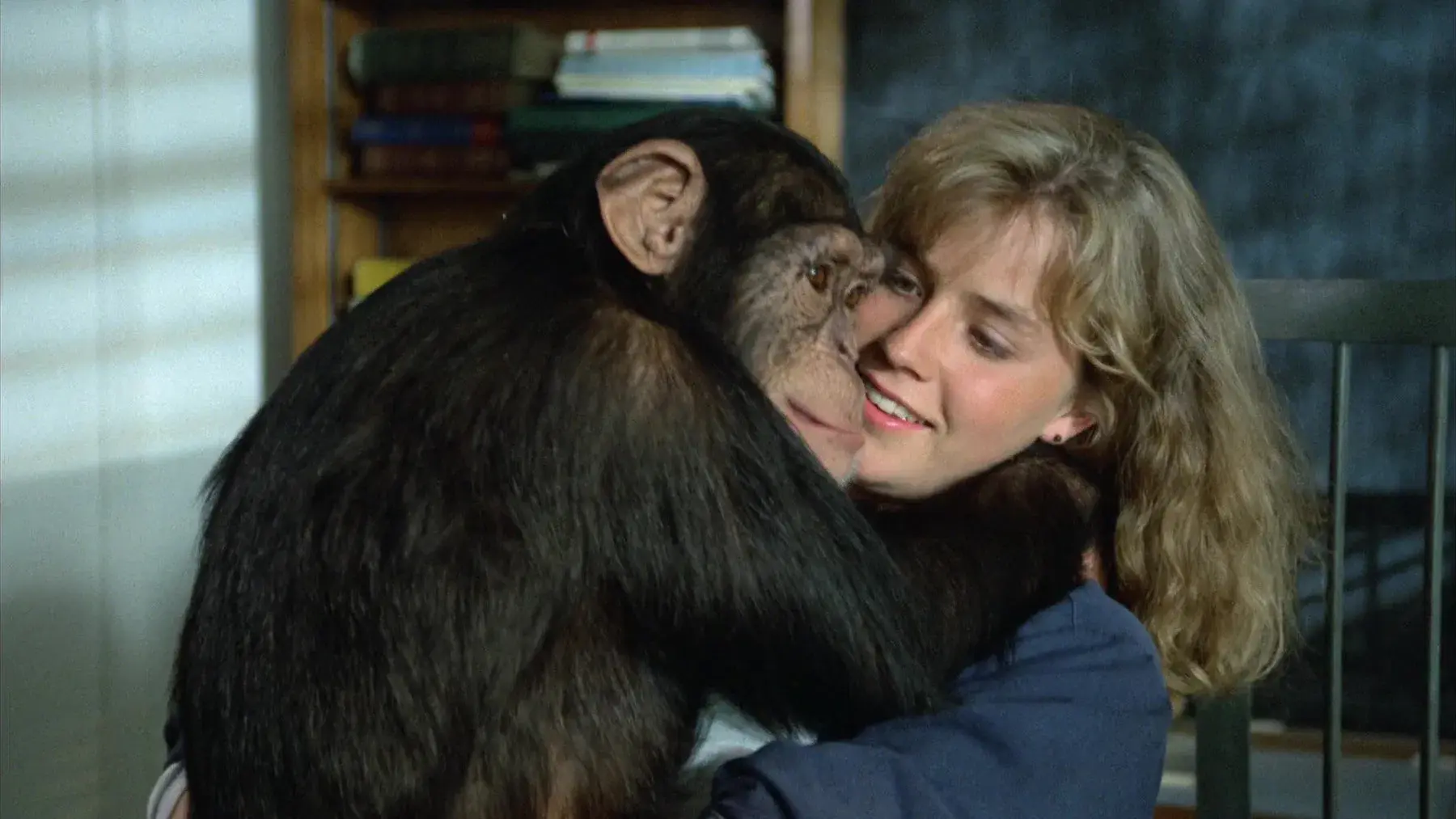 Link - O Animal Assassino