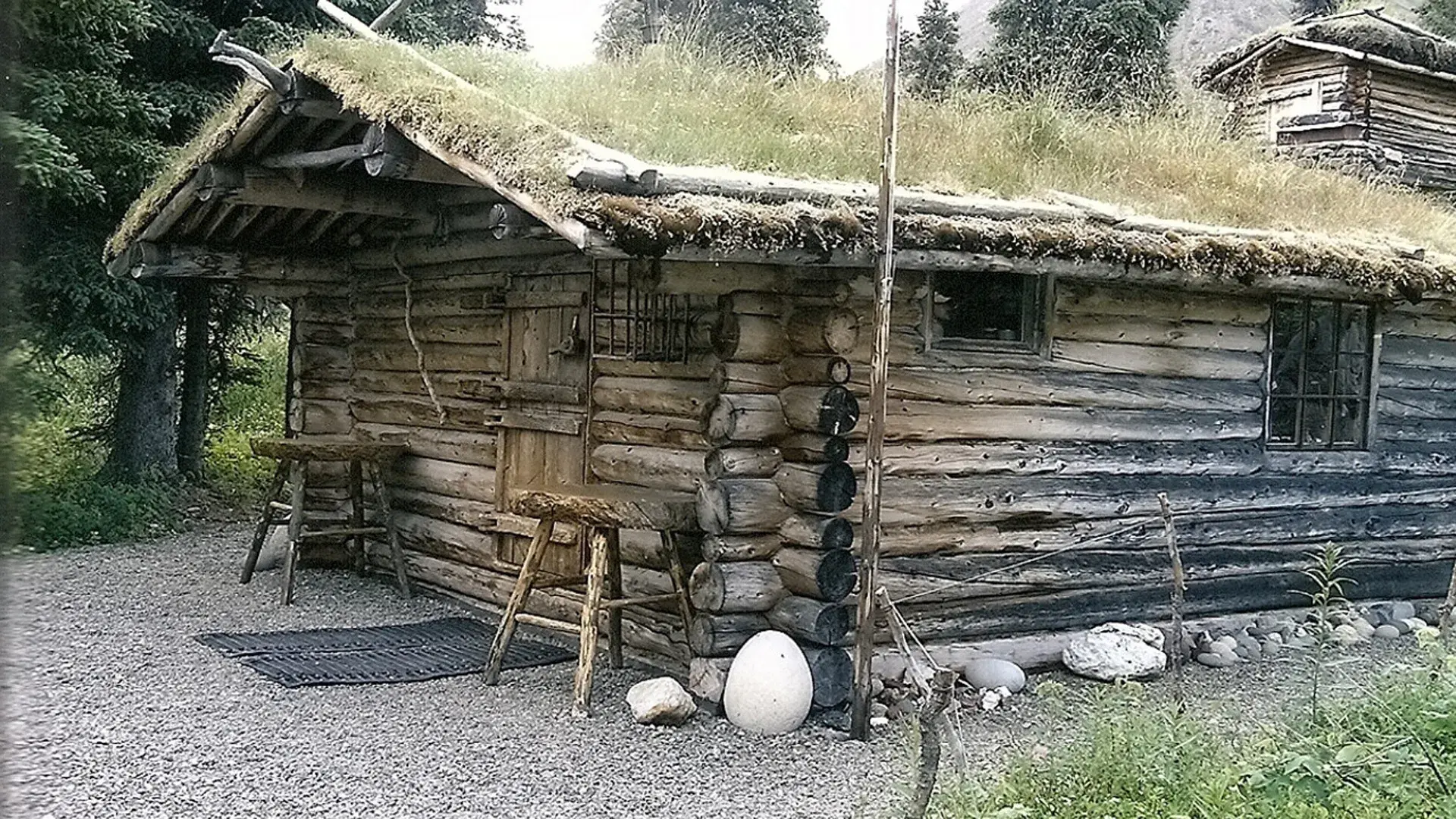 Alone in the Wilderness: Part II