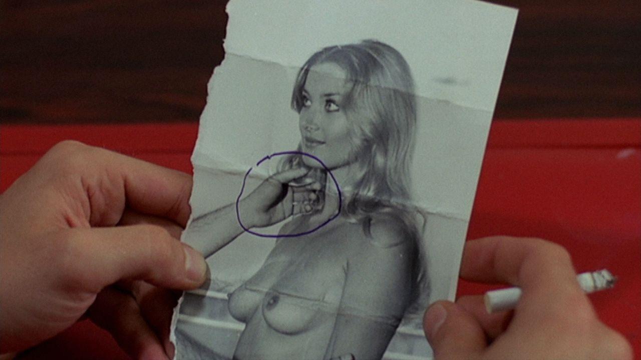 O Ventre Negro da Tarântula