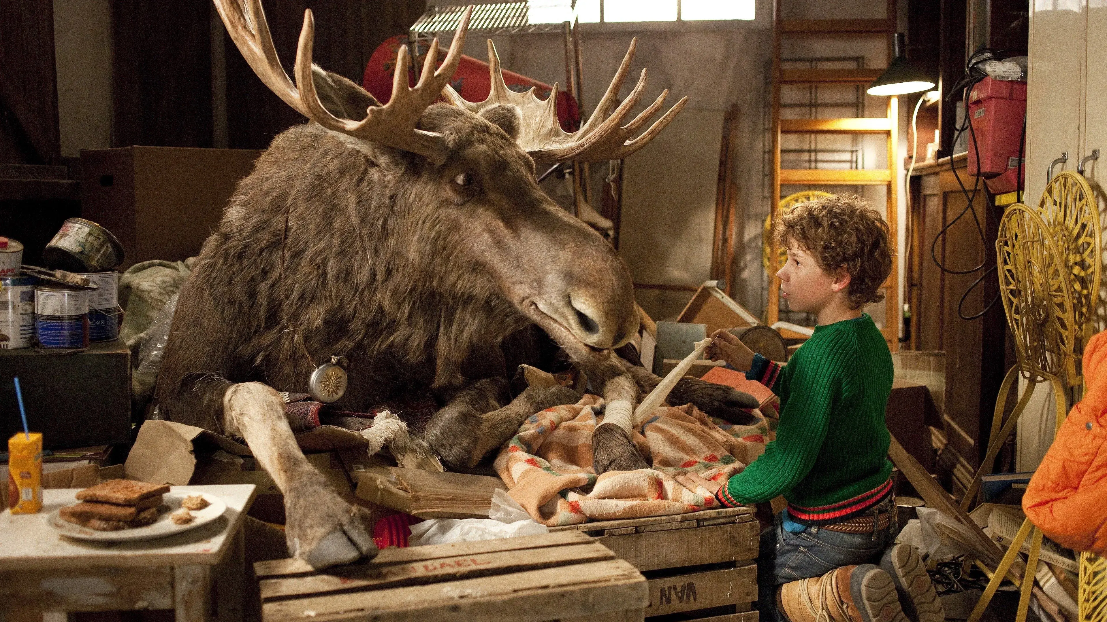 Midden in de Winternacht