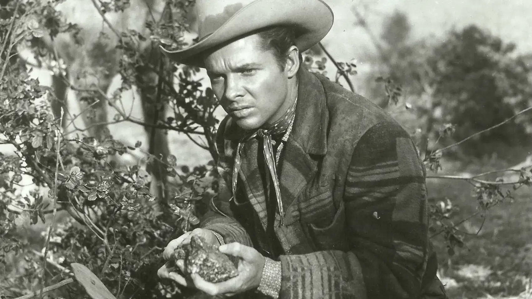 A Ronda da Vingança