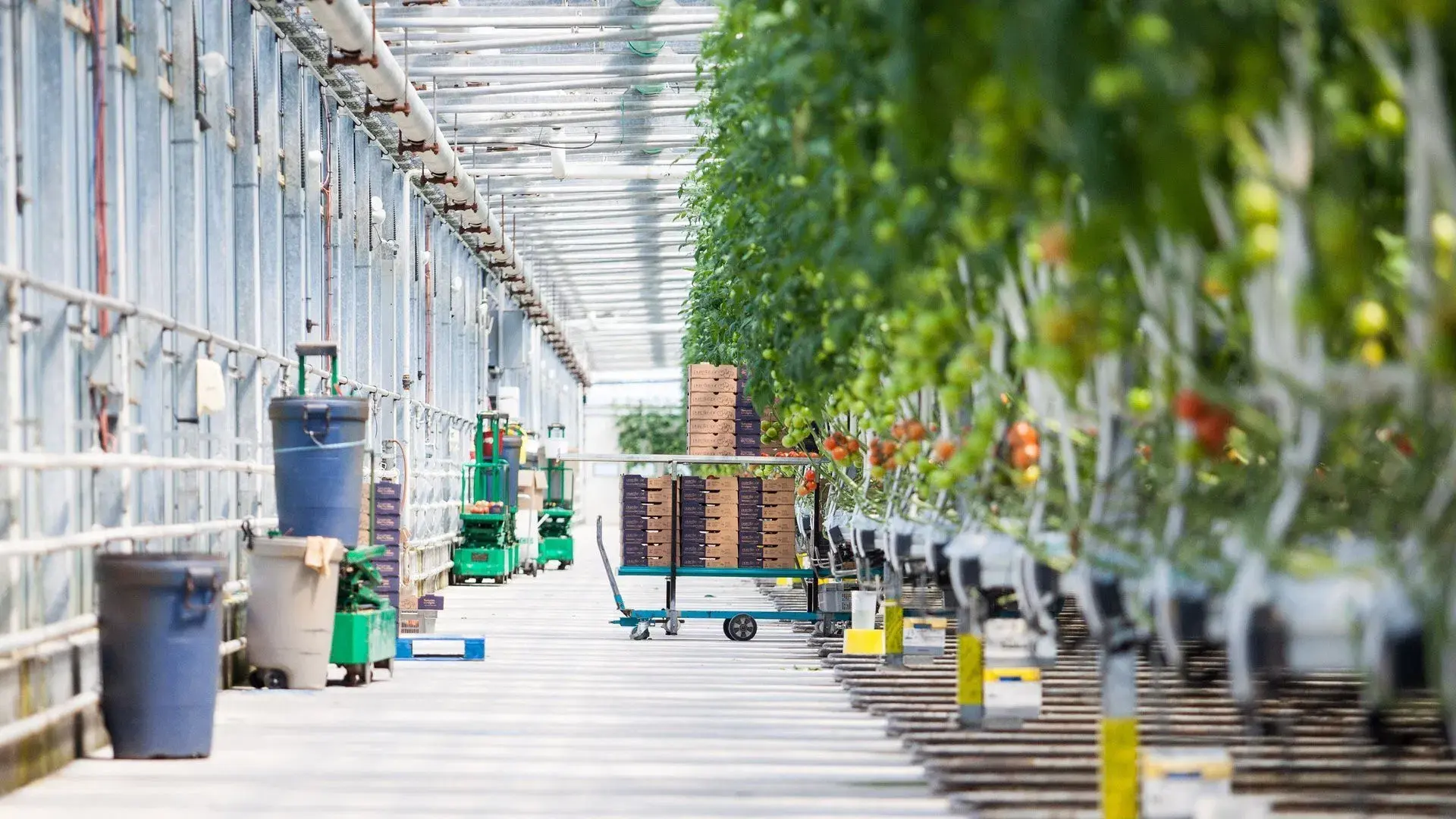 A Fábrica de Comidas