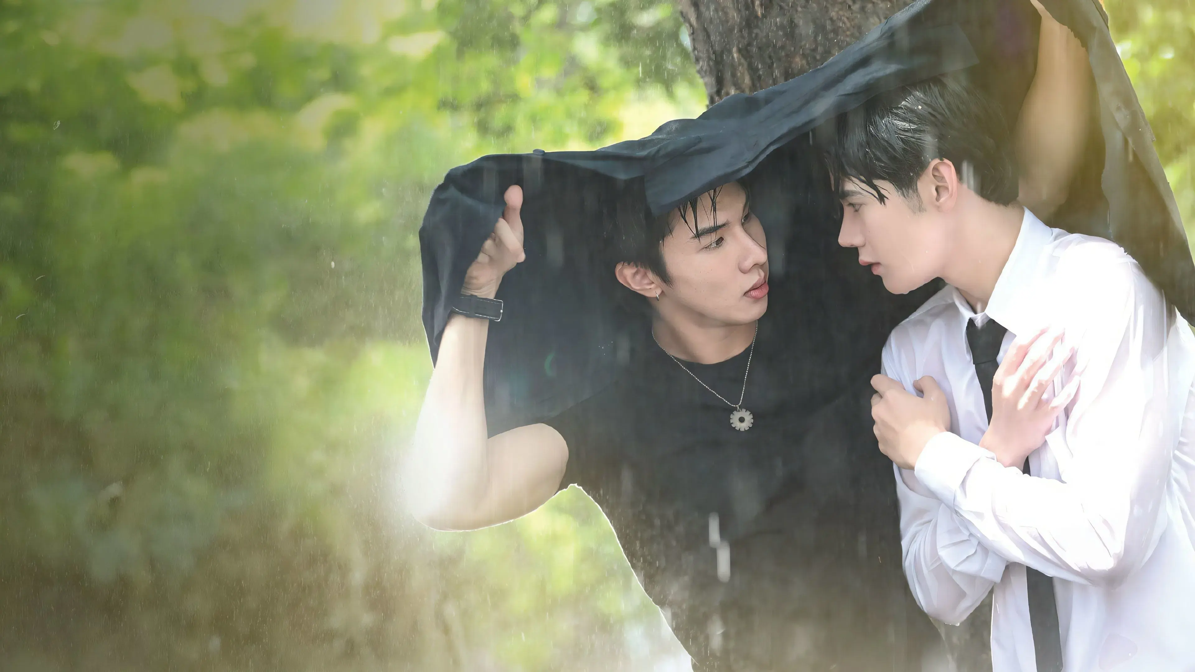 O Doutor Fofo É Meu