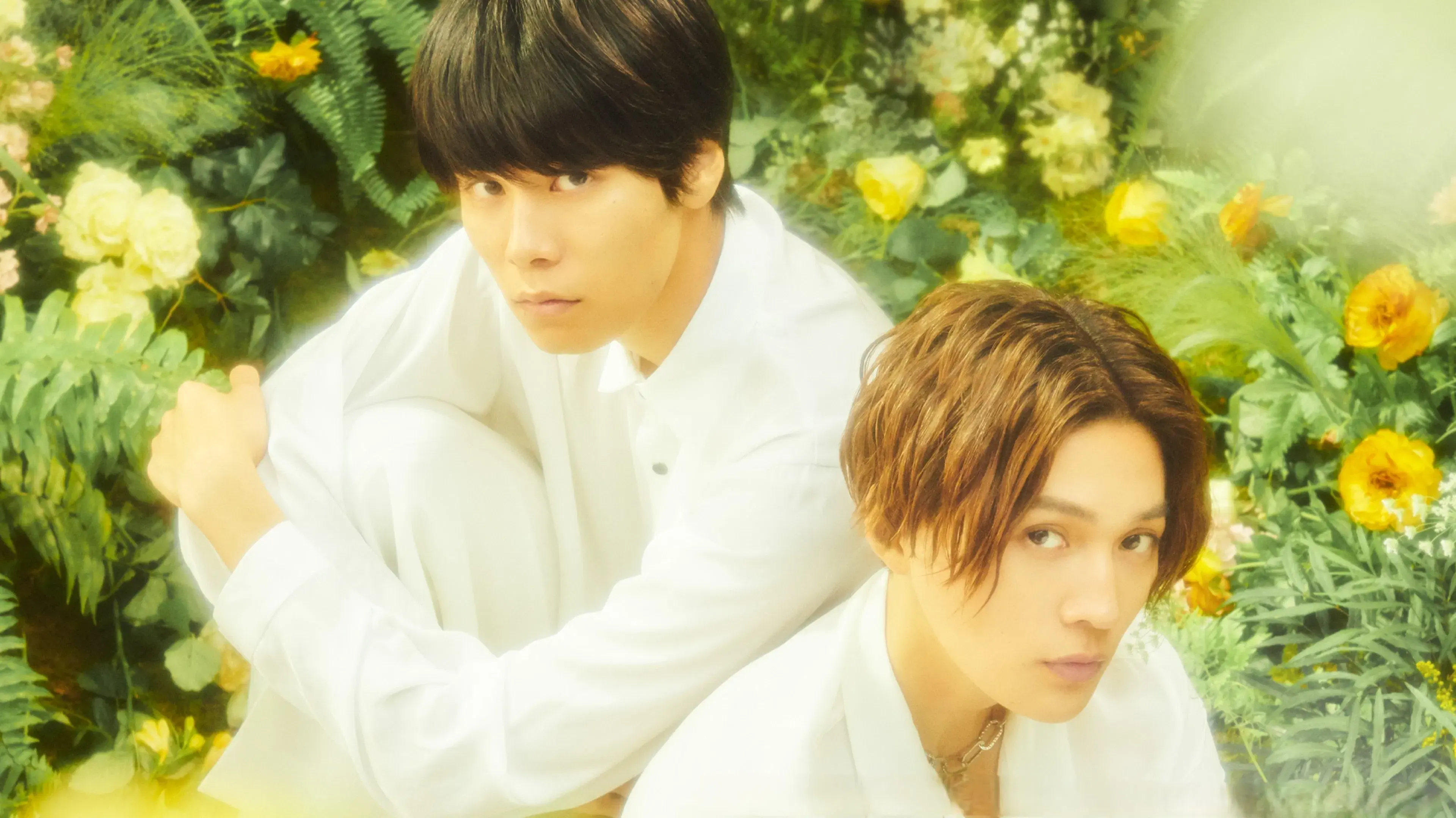 Meu Belo Homem: Eterno