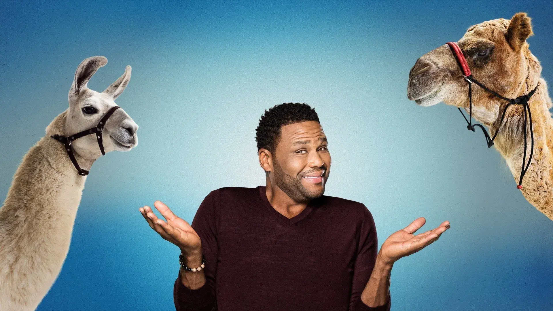 Encontro Animal com Anthony Anderson