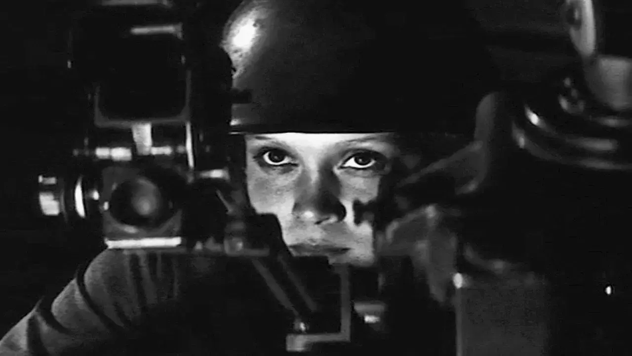 Auroras Nascem Tranquilas