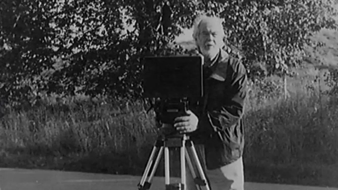 Lumière e Companhia