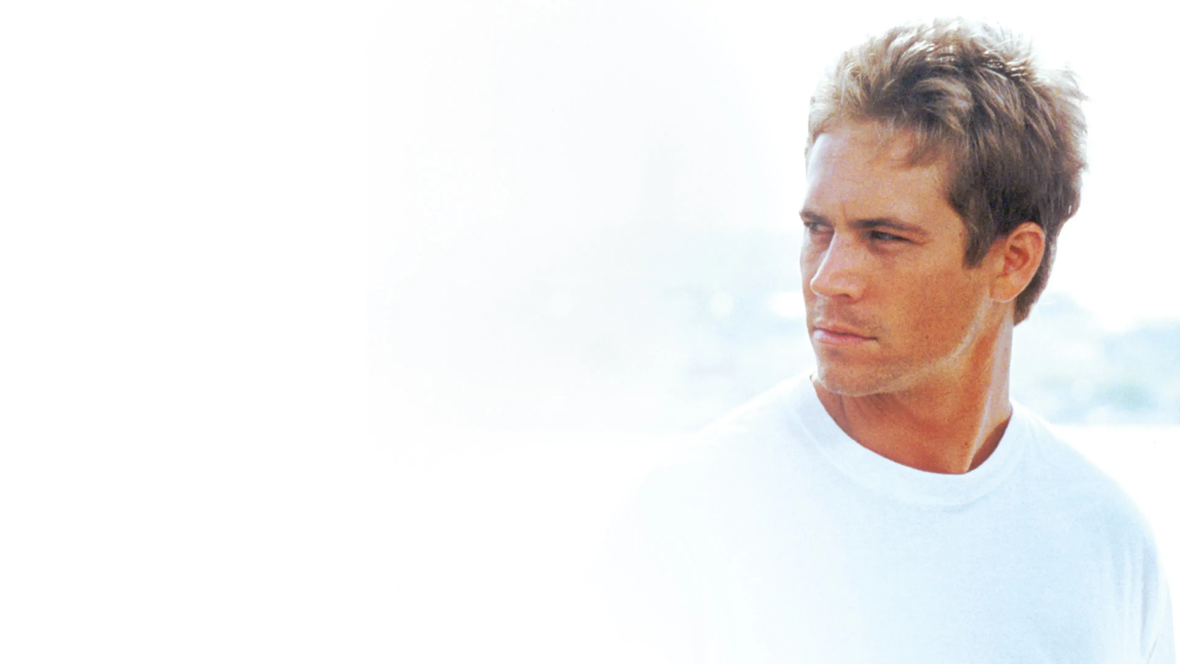 Meu Nome é Paul Walker