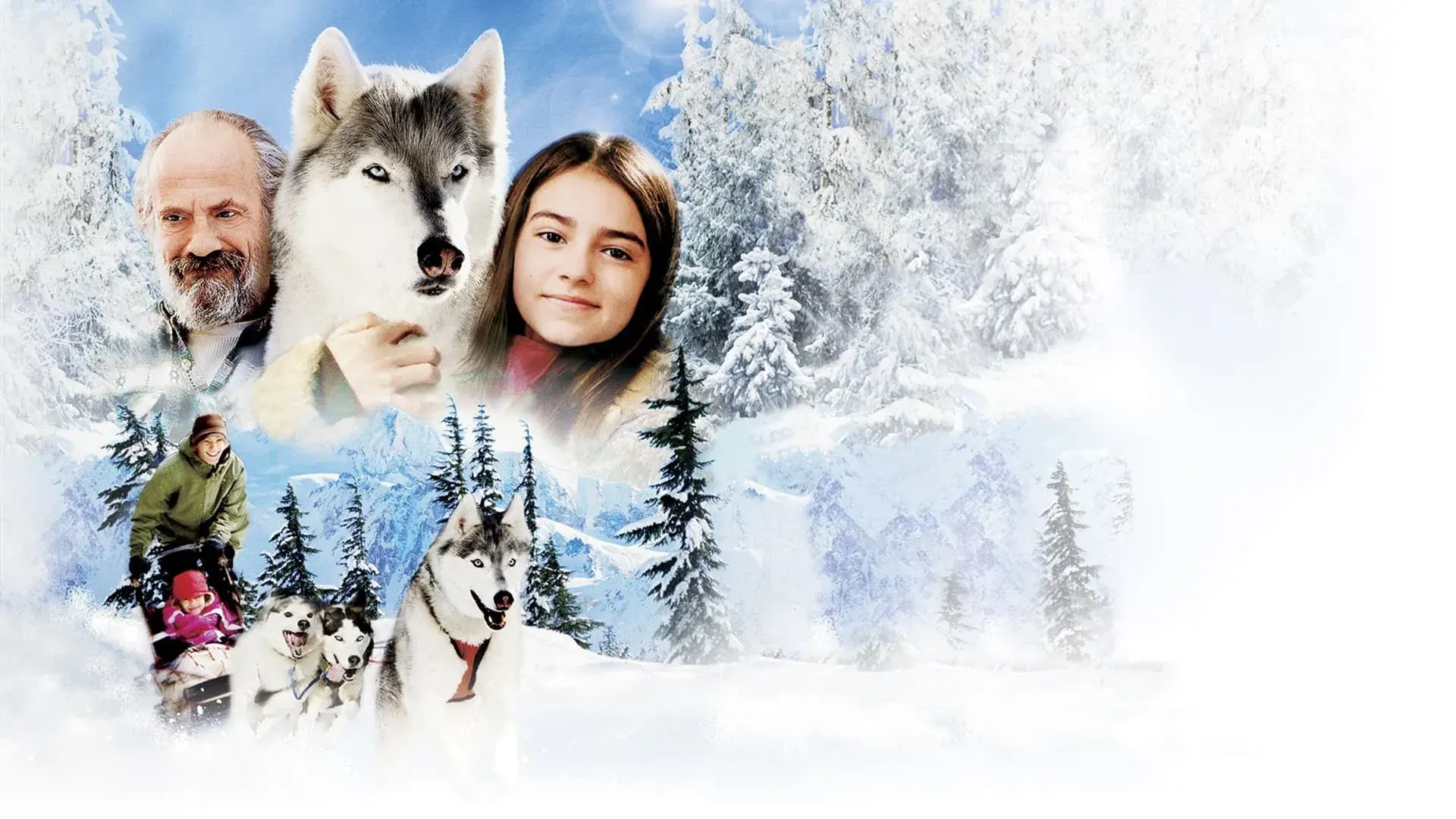 Buck: Meu Adorável Cão Selvagem