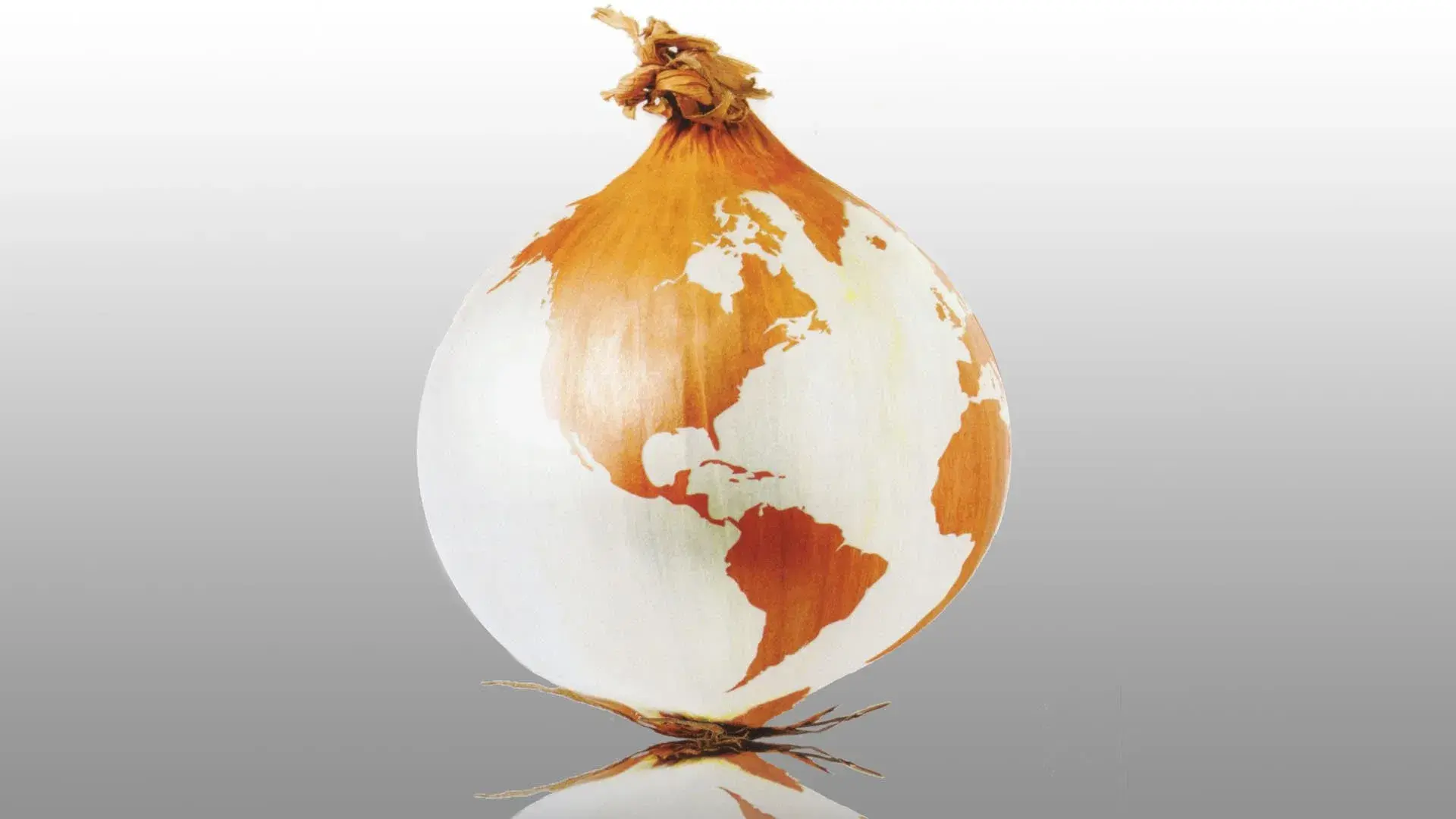 Loucos Pela Notícia