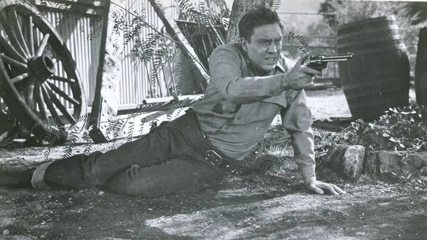 Chicote da Vingança