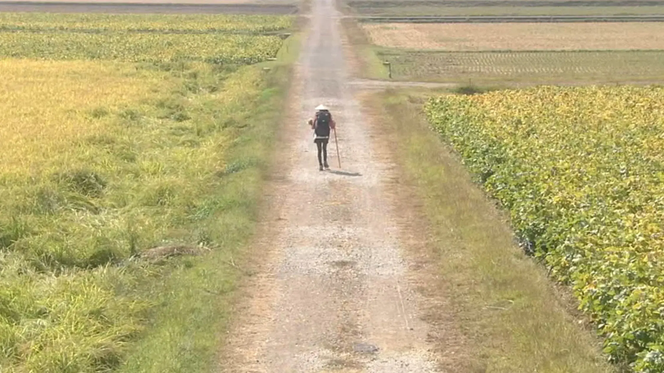 Aruku Aruku Aruku ~Shikoku Henro-michi~ SP