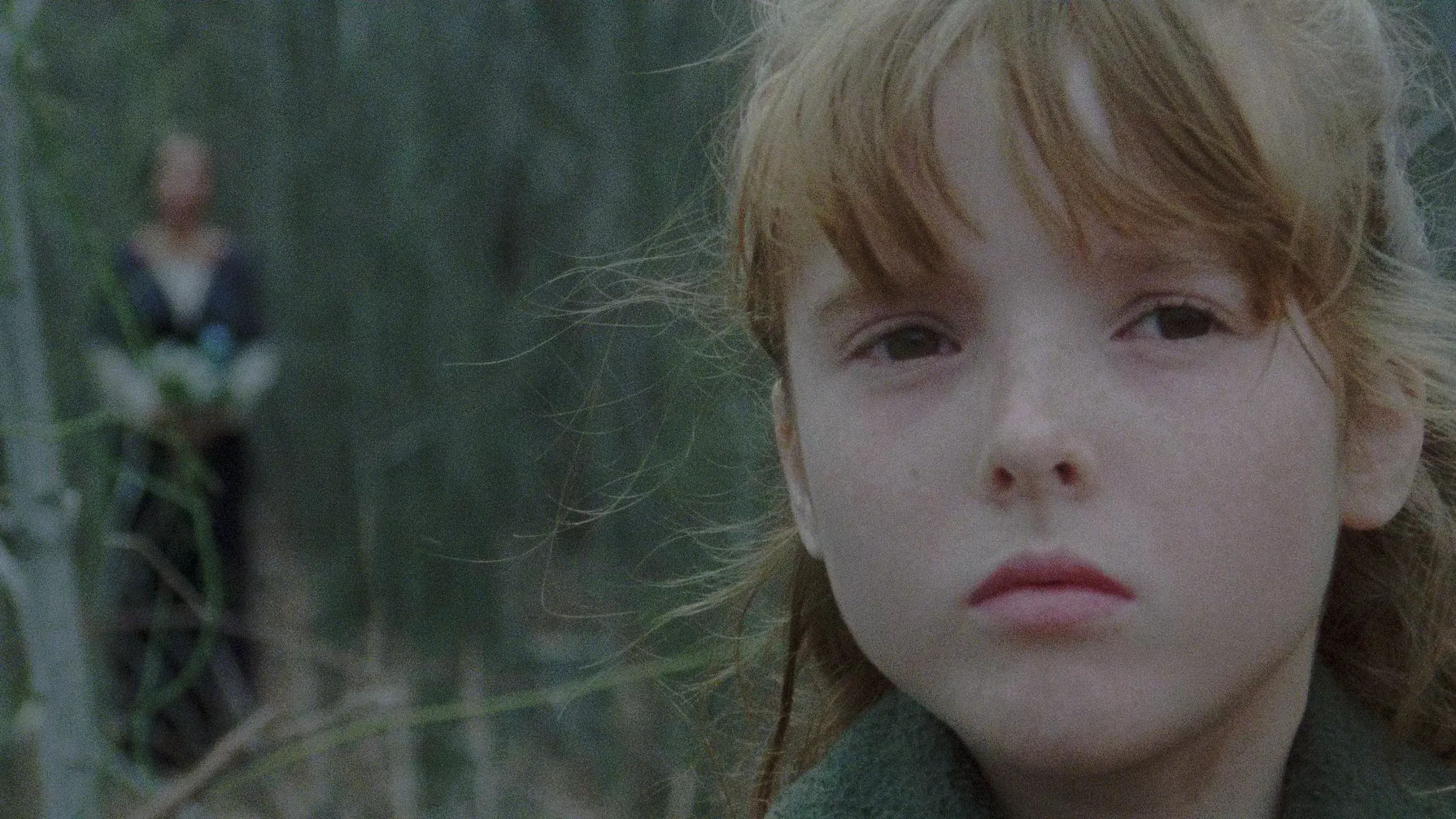 A Casa dos Mortos Vivos