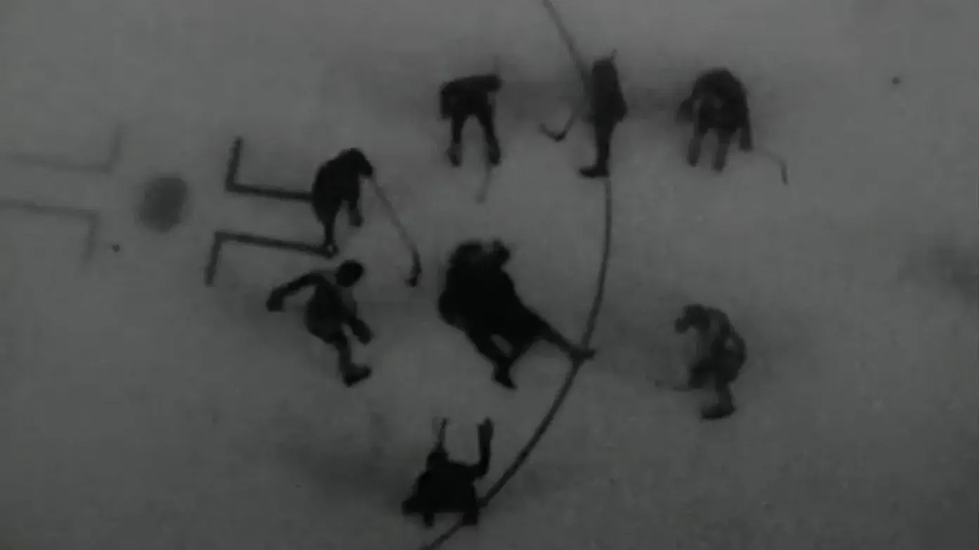 Covardes Dobram Os Joelhos