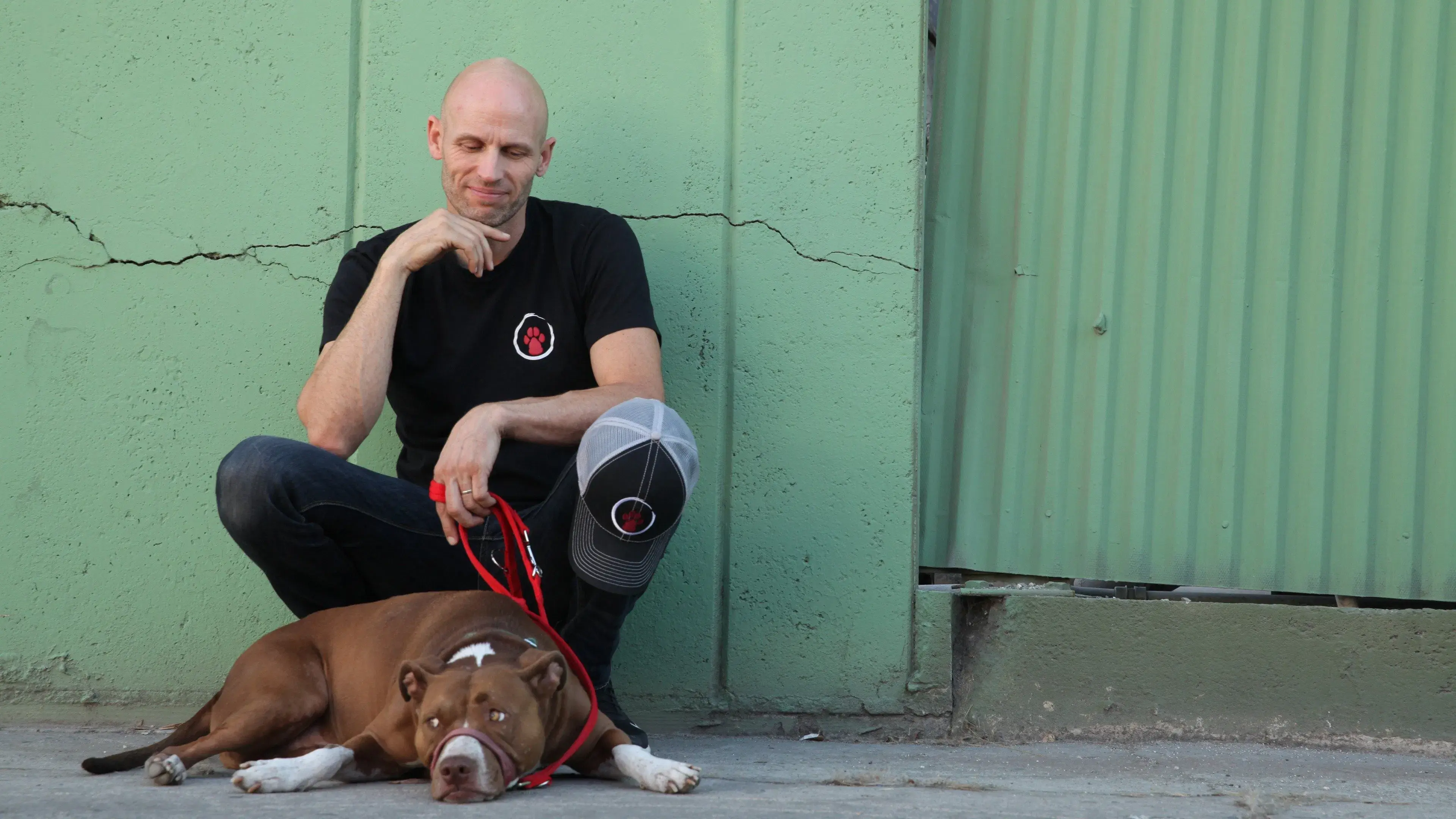 Reabilitação Canina