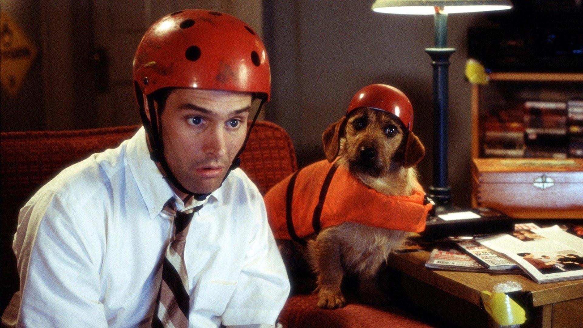 As Aventuras de Frank McKlusky