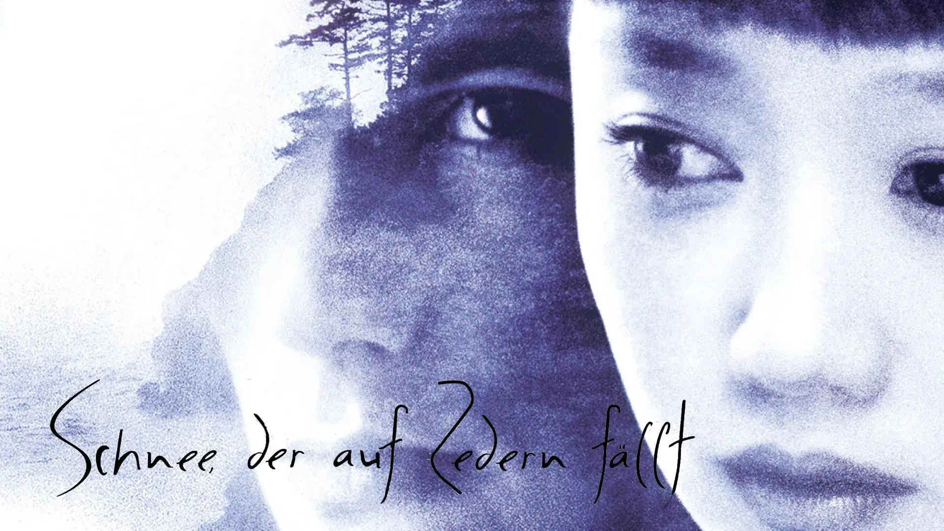 Neve Sobre os Cedros