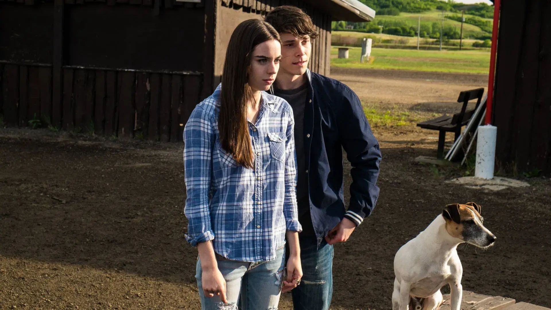 A.R.C.H.I.E.: O Cão Robô