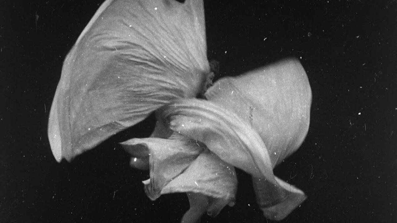 Danse serpentine par Mme. Bob Walter