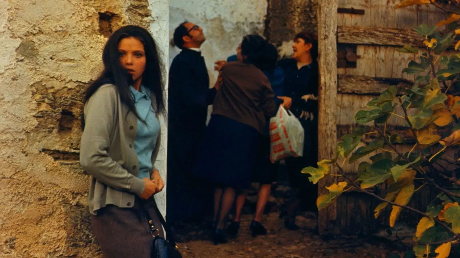 Por Amor ou Por Vingança