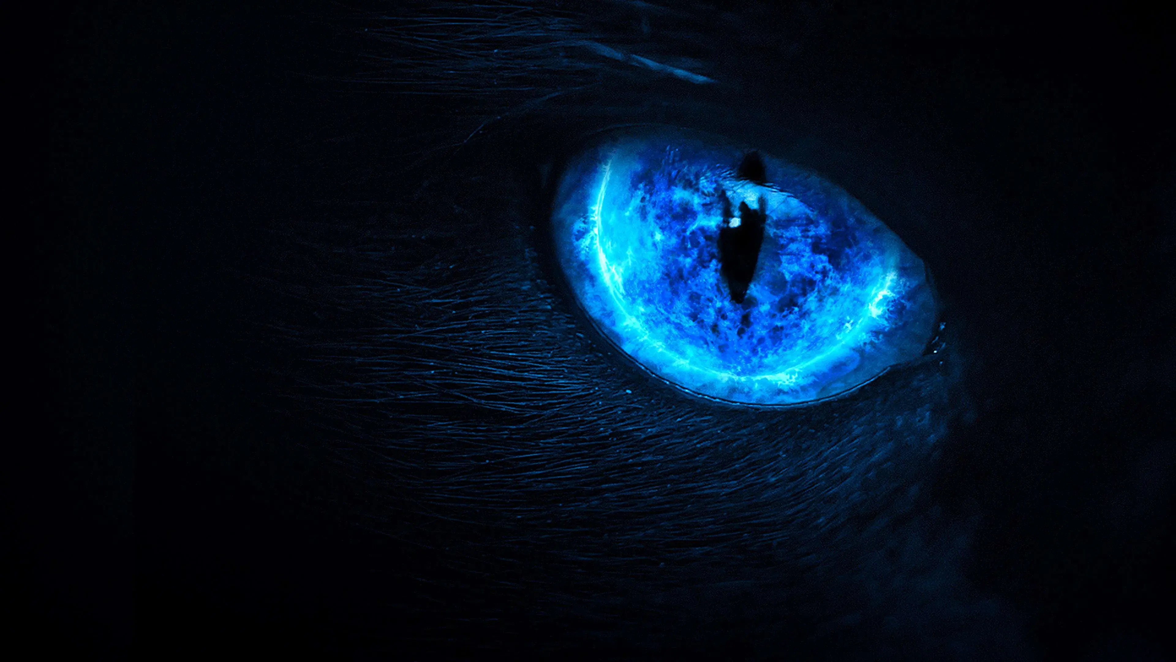 Meu Pet Está Possuído