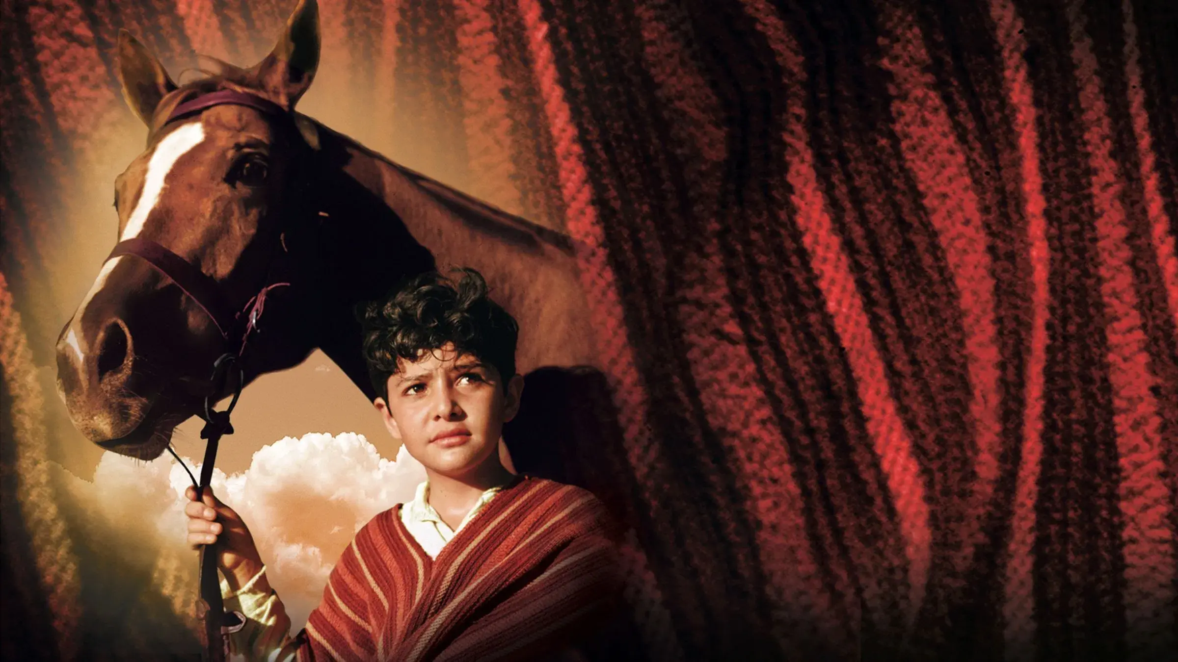 O Indomável Vagabundo